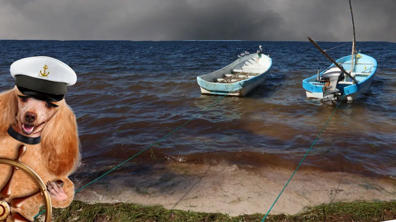 Los puertos permanecen cerrados por las condiciones atmosféricas. Foto: Canva