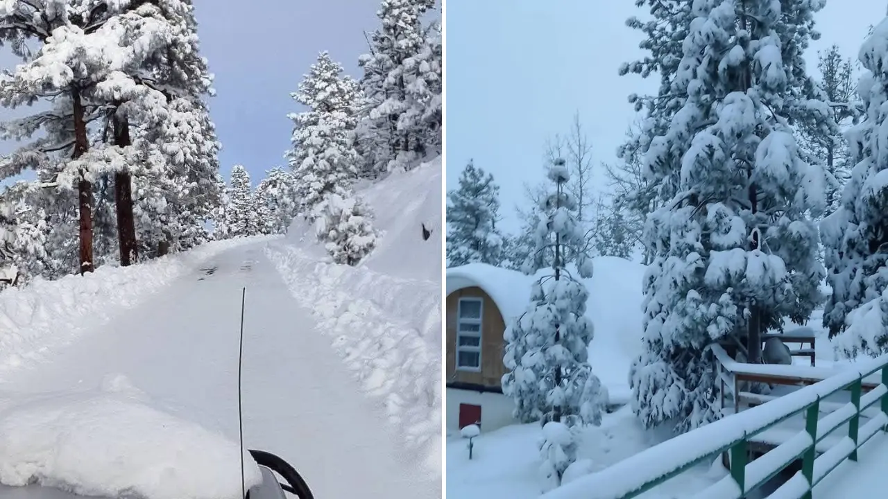 Zonas serranas de Baja California cubiertas por nieve durante condiciones invernales registradas en la región. Foto: La Voz de Los Cabos / Facebook