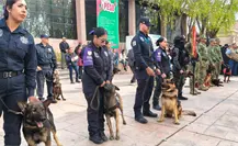 Policía de Saltillo jubila a emblemáticos elementos caninos César y Bebeto Policía de Saltillo jubila a emblemáticos elementos caninos César y Bebeto