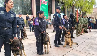Policía de Saltillo jubila a emblemáticos elementos caninos César y Bebeto