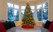 Navidad 2025: Este es el mejor lugar para colocar el pino en el hogar, según el Feng Shui