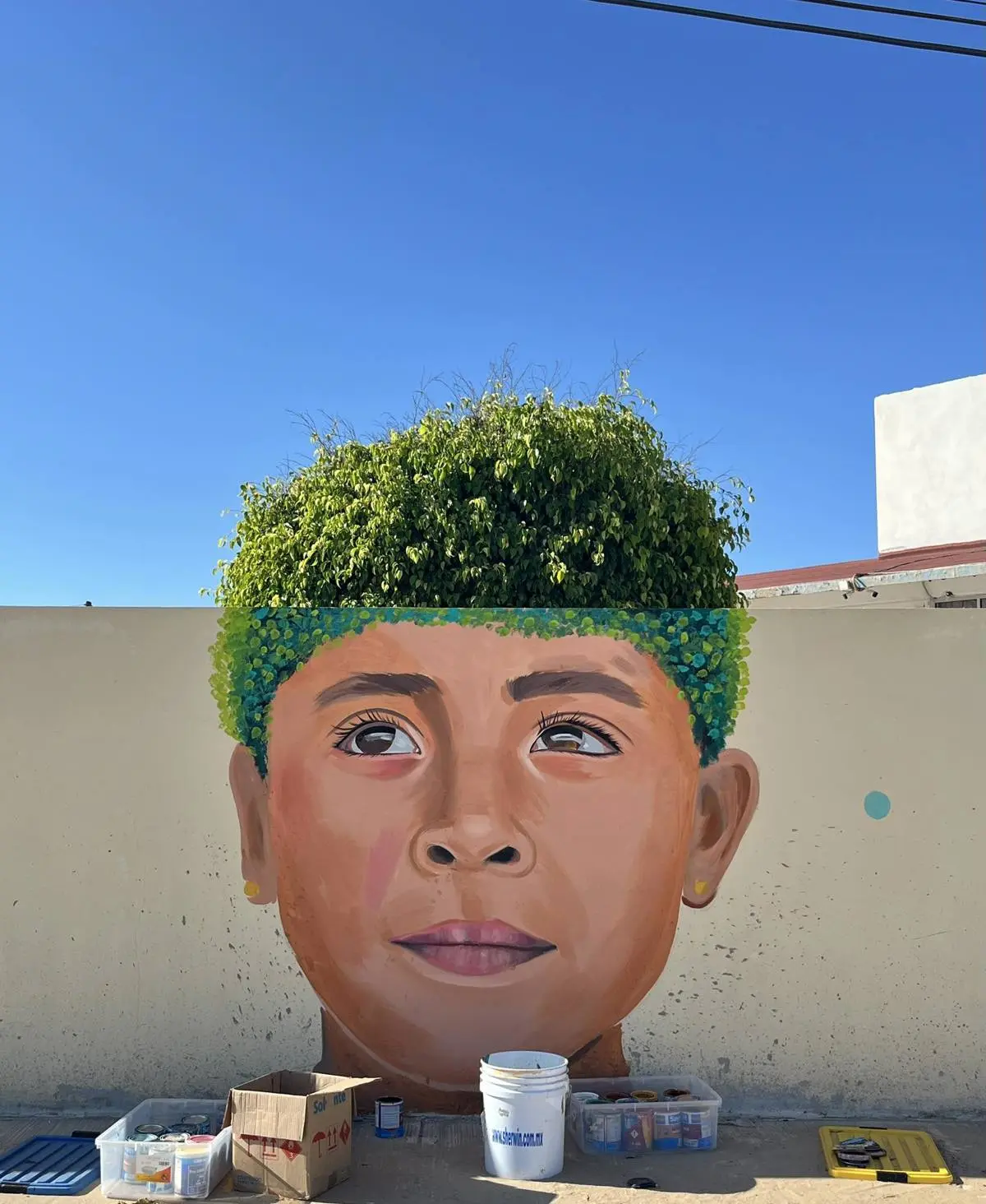 Foto: Dans Vela / Cortesía.