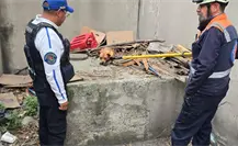 VIDEO | Rescatan a perro que ingresó a vías del Metro CDMX; moviliza a policías y Protección Civil VIDEO | Rescatan a perro que ingresó a vías del Metro CDMX; moviliza a policías y Protección Civil