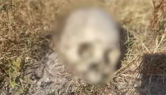 Restos óseos aparecen en Edomex durante búsqueda de maestro desaparecido en Nextlalpan