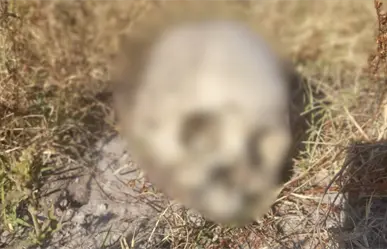 Restos óseos aparecen en Edomex durante búsqueda de maestro desaparecido en Nextlalpan