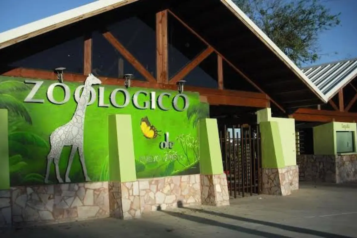 Para el personal y visitantes, este alumbramiento es un recordatorio del valor que tienen los programas que buscan devolver equilibrio y vida a la biodiversidad. Foto: Facebook Zoológico de Nuevo Laredo