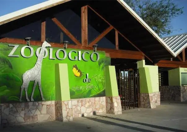 Tiene nuevo inquilino el zoológico de Nuevo Laredo, mira de quien se trata