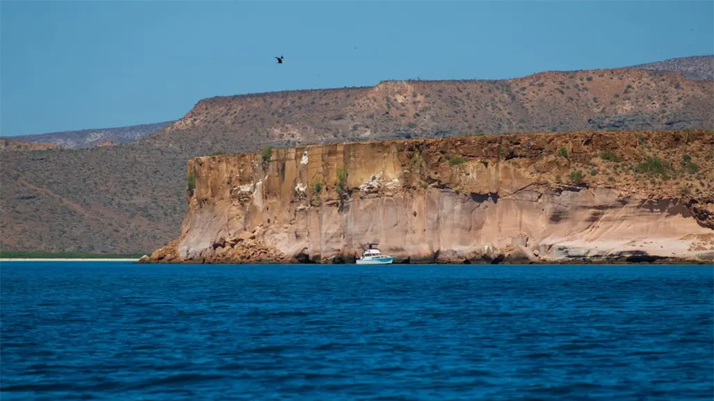 3 curiosidades de la Isla Espiritu Santo que seguro no conocías