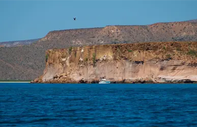 3 curiosidades de la Isla Espiritu Santo que seguro no conocías