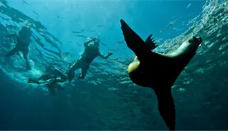 5 recomendaciones para visitar la isla Espíritu Santo en La Paz