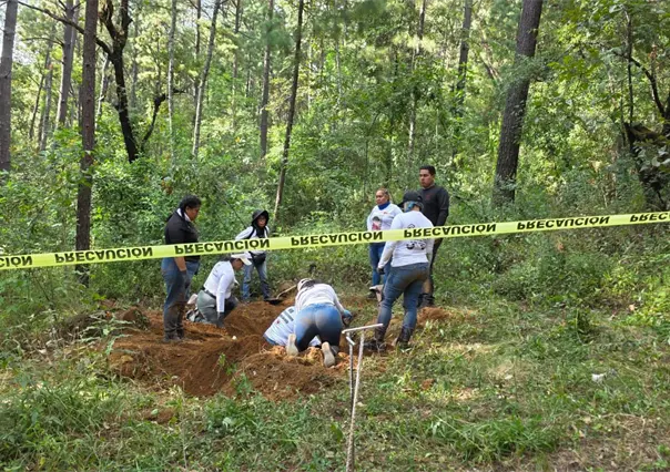 Colectivo localiza cuatro cuerpos en predio familiar de un diputado en Michoacán
