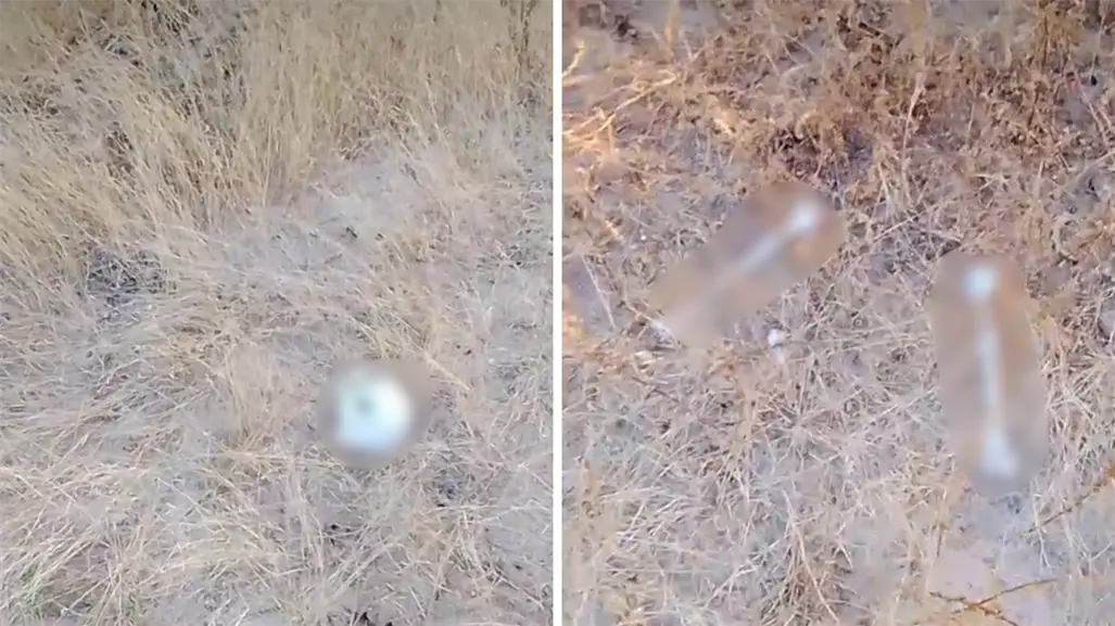 Colectivo Búsqueda x La Paz localiza restos humanos en La Paz tras llamada anónima