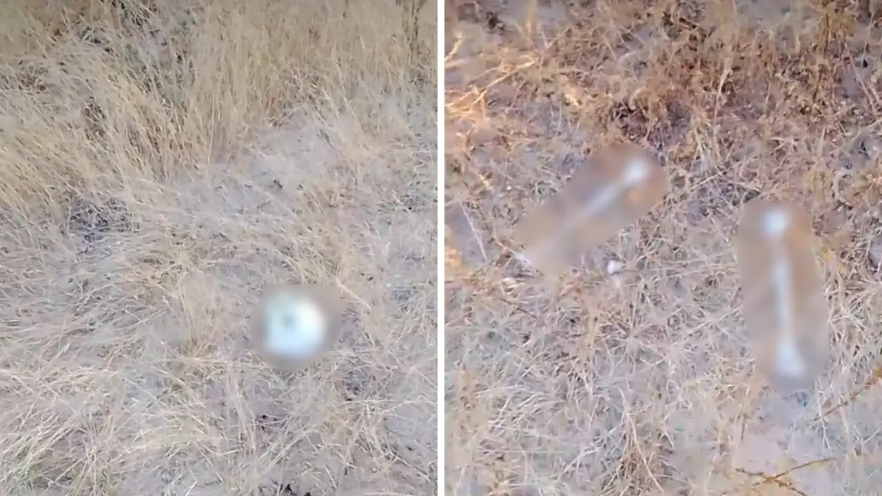 Foto: Búsqueda x La Paz / Facebook.