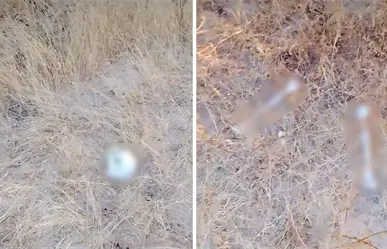 Colectivo Búsqueda x La Paz localiza restos humanos tras llamada anónima