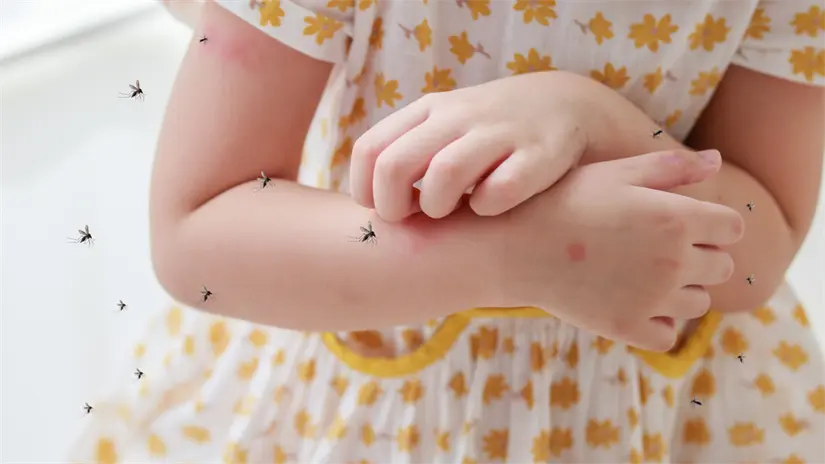 imagen recuadro Foto: Canva.