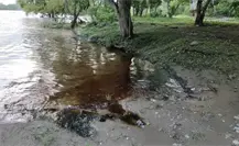 Nuevo derrame de hidrocarburo en el río Cazones deja sin agua potable a Poza Rica Nuevo derrame de hidrocarburo en el río Cazones deja sin agua potable a Poza Rica