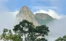 El Cerro de la Pava: La Cima de Tabasco que Ofrece una Aventura en la Selva de Huimanguillo El Cerro de la Pava: La Cima de Tabasco que Ofrece una Aventura en la Selva de Huimanguillo