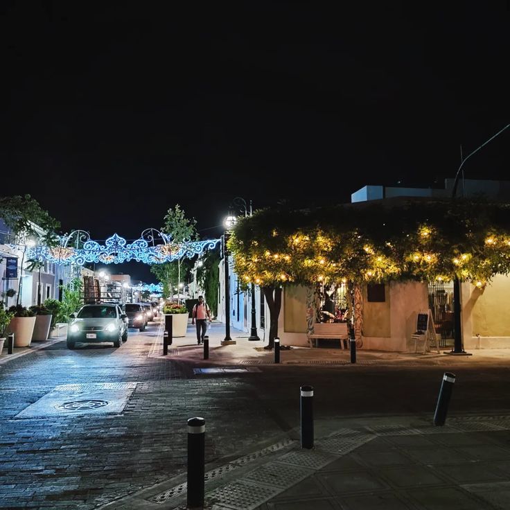 imagen-cuerpo imagen-cuerpo