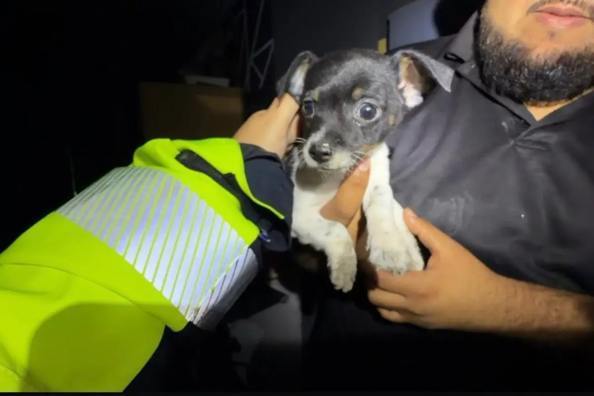 Una intensa movilización de Protección Civil de Nuevo León se registró en la colonia Los Olmos. Foto: PCNL