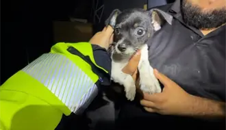 Así fue cómo elementos de Protección Civil salvaron a un cachorro tras la explosión en Pesquería