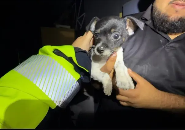 Así fue cómo elementos de Protección Civil salvaron a un cachorro tras la explosión en Pesquería