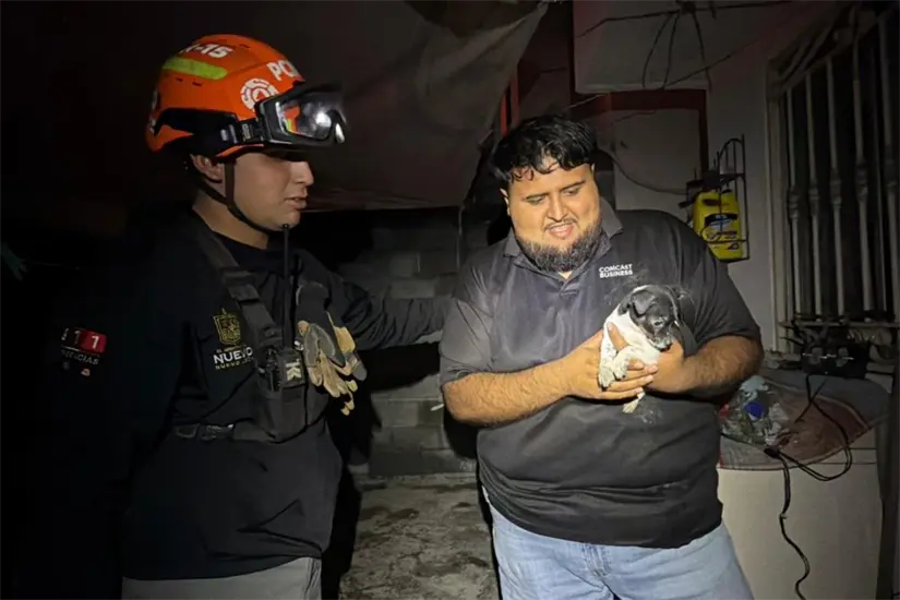 El rescate de un cachorro que había quedado atrapado entre escombros. Foto: PCNL