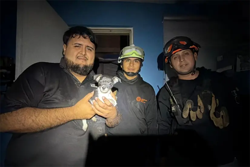 El cachorro fue entregado de inmediato a su propietario. Foto: PCNL