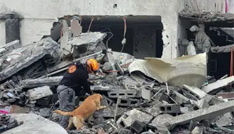 Protección Civil de Nuevo León continúan en Pesquería tras derrumbe con apoyo de binomios caninos