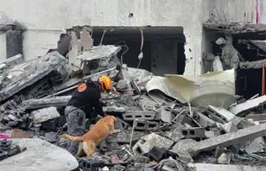 Protección Civil de Nuevo León continúan en Pesquería tras derrumbe con apoyo de binomios caninos