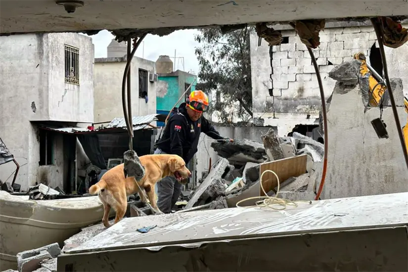 Los binomios caninos representan una herramienta clave. Foto: PCNL