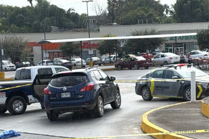 imagen recuadro La puerta del vehículo presuntamente se abrió. Foto: Especial
