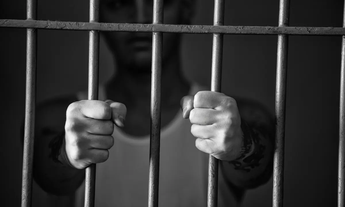 Los sentenciados deberán pagar una multa por más de 760 mil pesos Foto: Canva