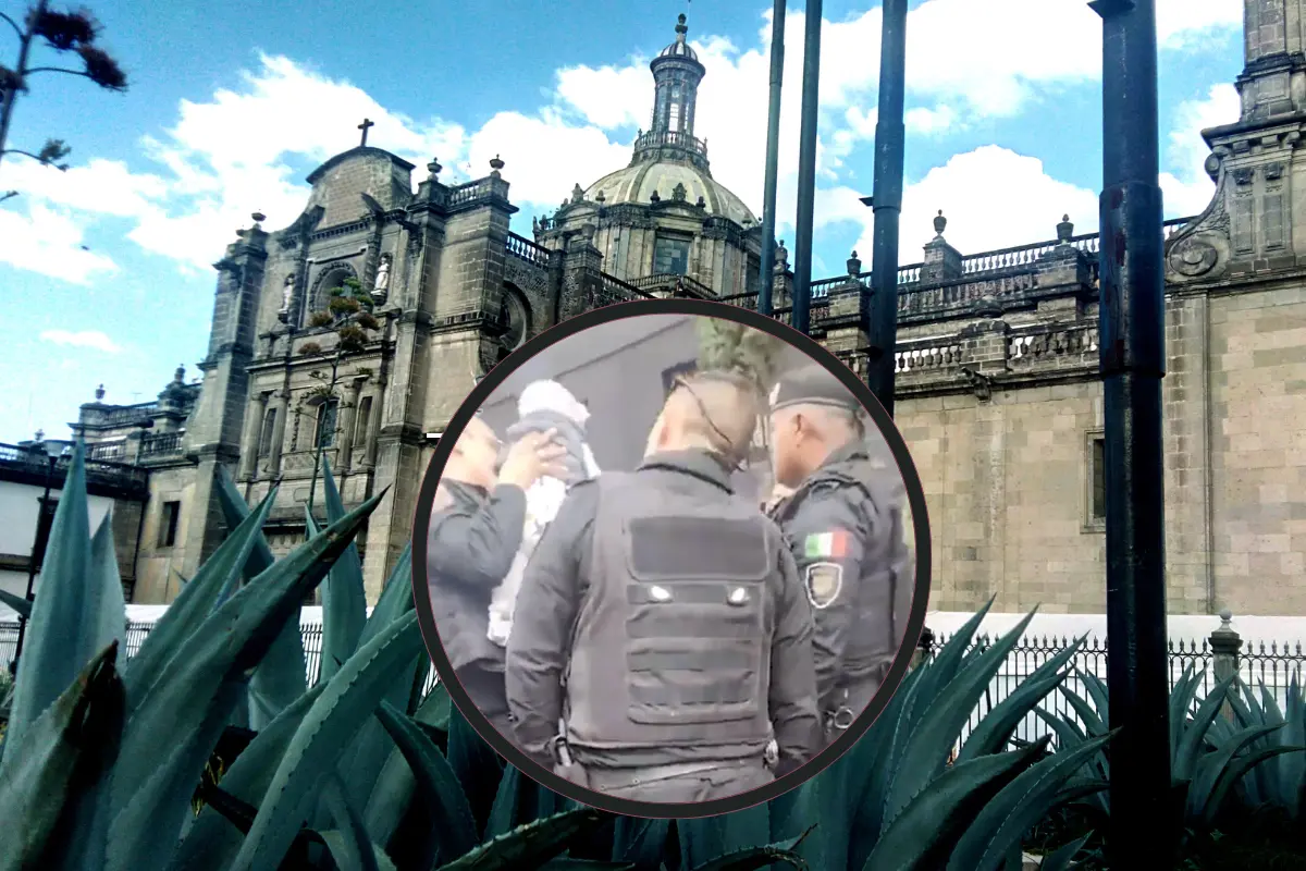 Pánico en Venustiano Carranza cuando una hoja de árbol casi provoca una tragedia a una bebé. Foto: SSC CDMX | Canva