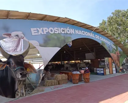 Ganadería en el sur de México, opciones para mejorar alimentos en todo México