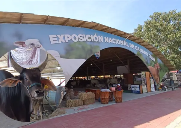 Ganadería en el sur de México, opciones para mejorar alimentos en todo México