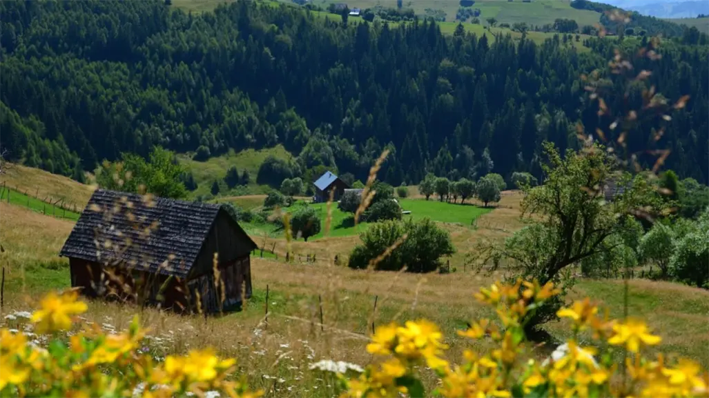 3 opciones de cabañas ubicadas a minutos de la ciudad de Durango