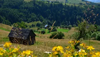 3 opciones de cabañas ubicadas a minutos de la ciudad de Durango
