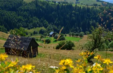 3 opciones de cabañas ubicadas a minutos de la ciudad de Durango