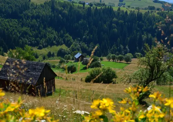 3 opciones de cabañas ubicadas a minutos de la ciudad de Durango