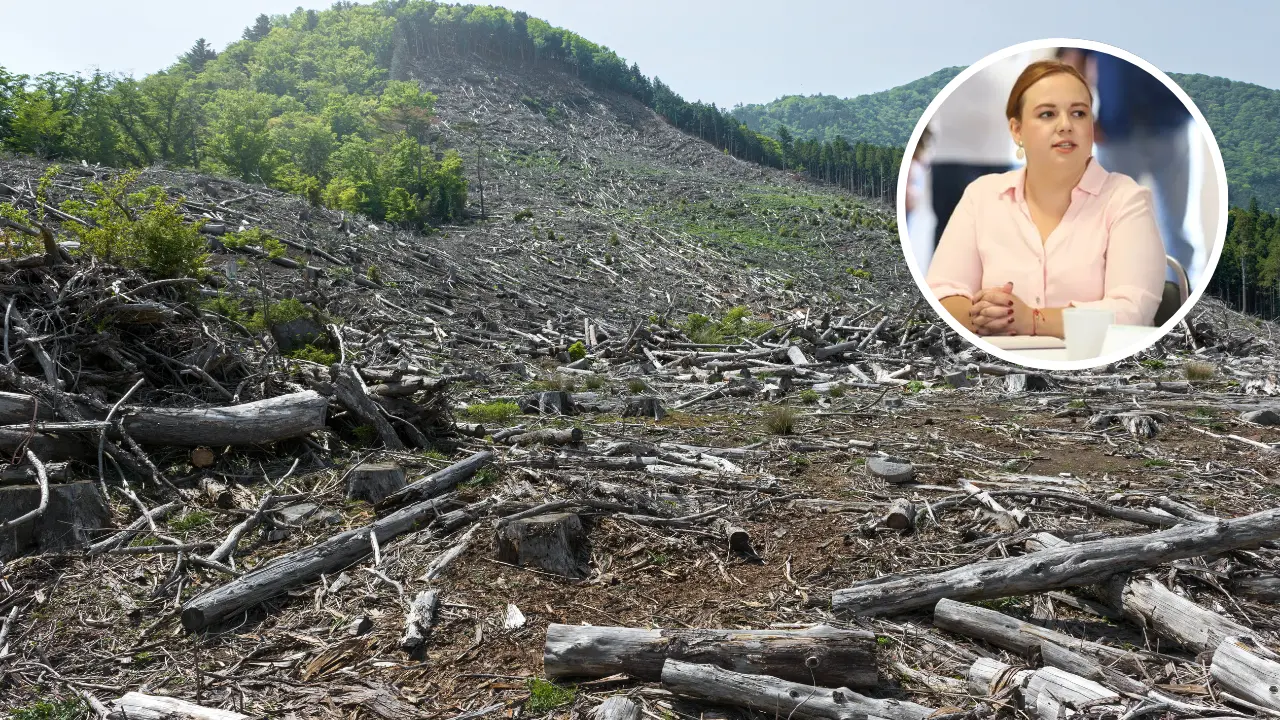 El municipio también trabaja para asesorar a quienes sí requieren permisos, con el fin de evitar malos entendidos y garantizar que las actividades legales estén en regla./Foto: Canva/ Gobierno de Arteaga