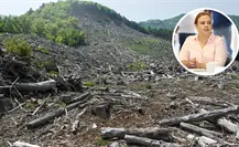 Arteaga endurece operativos contra la tala clandestina por temporada navideña Arteaga endurece operativos contra la tala clandestina por temporada navideña