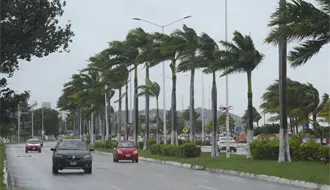 Frente frío 17 traerá lluvias fuertes y rachas de 60 km/h a Tamaulipas, Veracruz y Coahuila este domingo