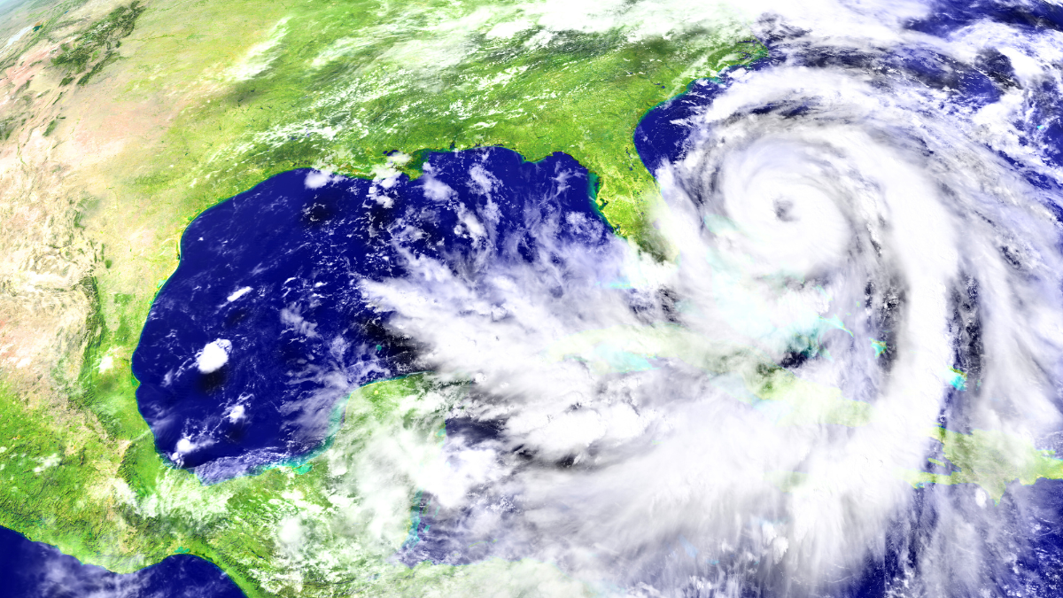 imagen-cuerpo imagen-cuerpo