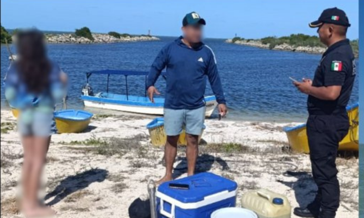 imagen-cuerpo imagen-cuerpo