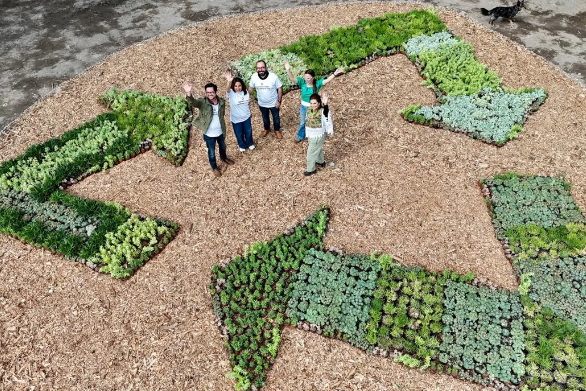 Clara Brugada anuncia inversión histórica y nuevo calendario de separación de residuos en CDMX. Foto: X @ClaraBrugadaM