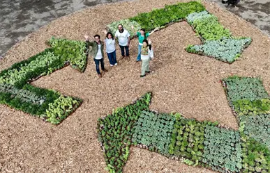 Cambian las reglas de la basura en CDMX: Así es el nuevo calendario obligatorio para 2026