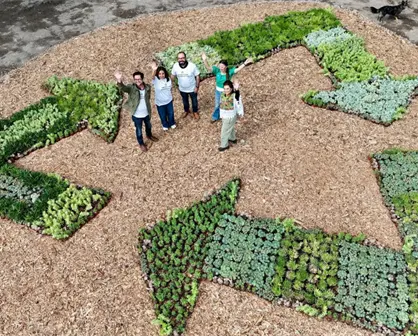 Cambian las reglas de la basura en CDMX: Así es el nuevo calendario obligatorio para 2026