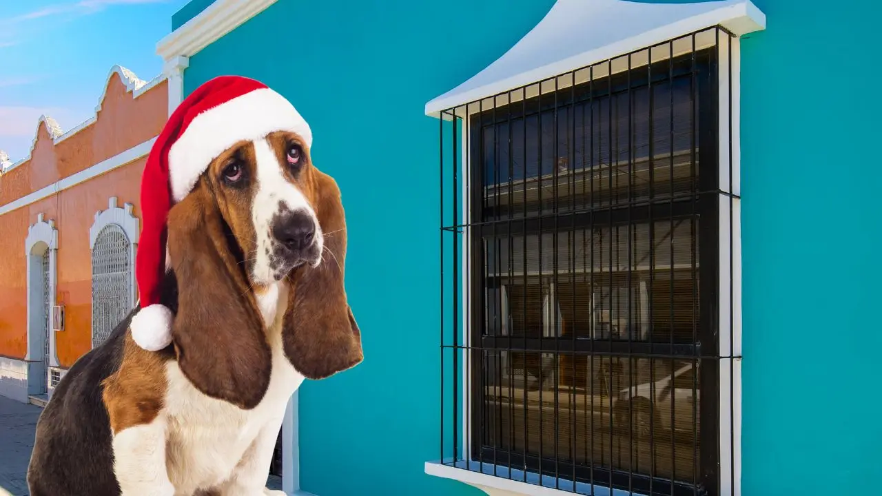 Un nuevo anticiclón continuará afectando la región yucateca. Foto: Canva