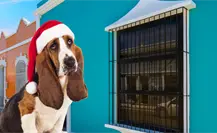 ¿Calurosa Navidad? Inicia diciembre con anticiclón y clima estable para Yucatán ¿Calurosa Navidad? Inicia diciembre con anticiclón y clima estable para Yucatán