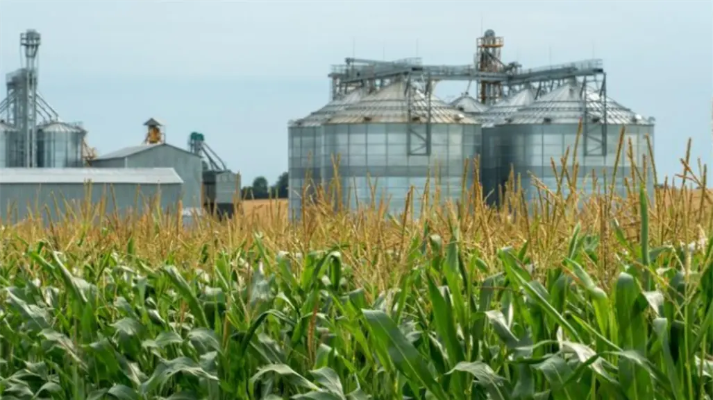 Continúa la planeación de la planta de bioetanol en Altamira, proyecto que busca impulsar la producción del sorgo en Tamaulipas